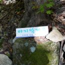 무릉도원면-9 이미지