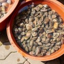 청정1리 경로당 이미지