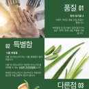 돕자몰 | [칸나비노이드오일] 고양이 발작에 도움이 된다는 오일 급여하기!