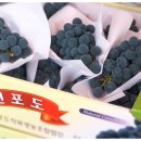 사현마을회관 이미지