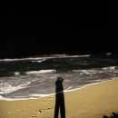 정관장남한산성역점 | 52. 망상 오토캠핑장 [ 2009.12.18 ~ 12.20 ]