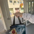 미국 북동부 | 나이아가라 폭포 하루 코스! 레인보우 브리지 도보 국경 넘기 + 혼블로어 크루즈 완벽 후기