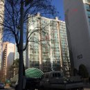 청솔(171) 이미지