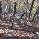 부산추모공원 이미지