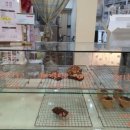 카페 로띠르(Cafe Rotir) 이미지