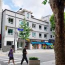 Hostel Tommy 호스텔 토미 네이버블로그
