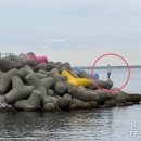 동해-단속-30 이미지