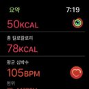 비베터