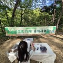옥성자연휴양림제4주차장 | 아이랑 가기 좋은 옥성자연휴양림 🌳 자연놀이 + 체험 완벽 코스
