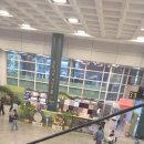 스튜디오 숲 | 제주공항 스튜디오 지브리 도토리숲팝업 후기