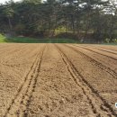 밤실농장 이미지