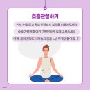 마음챙김으로 스트레스 다스리기 이미지