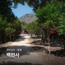 서암주차장 | 전남 강진 가볼만한곳 다산초당 백련사 동백축제 다산유적지 주차장