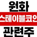 원화 스테이블코인 관련주 정리｜카카오페이·다날 주가 흐름과 실적 분석