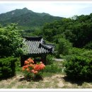 신항묘 이미지