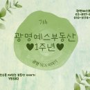 예스공인중개사사무소 이미지