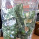 Healthy Cat 이미지