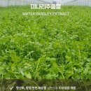 순미농장 네이버블로그