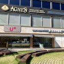 은평-080 | 아이폰 17 셀룰러 이슈로 상담 받고 왔어요~!#위니아에이드 애플공인서비스