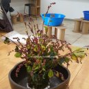 쪽빛나라 이미지