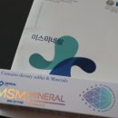레몽하우스 | 치약 MSM 잇몸치약 치약추천 레몽하우스