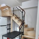 가덕 코이 이미지