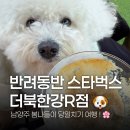 운동장길R | [경기 남양주] 스타벅스 더북한강R점 | 애견동반 가능한 리버뷰 펫존 솔직후기, 5월 연휴 당일치기 서울...