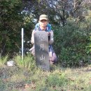 망월산1 태양광발전소 이미지