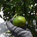 중간말농장 이미지