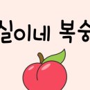 몽켓 네이버블로그