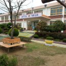 대중초등학교 이미지