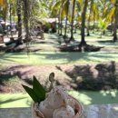 드래곤약국 이미지