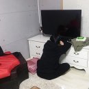 솔마루민박 이미지