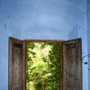 은혜과일 이미지