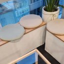 엑시토 운동센터 이미지