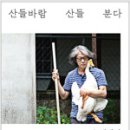 산들바람 이미지