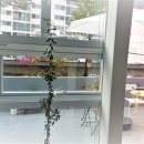 하얀쉼터 이미지