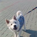 바닷가 산책 이미지