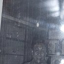 〔이준성의 필리핀 바기오 생활〕 1260. 보홀 - 노바 쉘 박물관(조개 박물관) 이미지