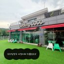 코코 | [공지] 남양주 애견카페 리블링코코 후기
