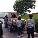 부동농장2 이미지