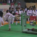 용인대스타태권도 이미지