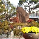 덕곡면사무소 이미지