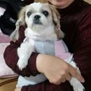 장하다농원