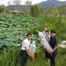 생태연못 이미지