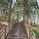 동작충효길 6코스 동작마루길 | 동작마루길을 걷다.