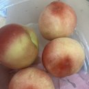 머거두댕 이미지