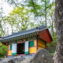 선재목장 | 한반도의 등줄기 위를 성큼성큼 걷는다, 초록 융단과 야생화 천국을 지나 하늘까지