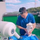 용인시 동물보호센터 NSP통신