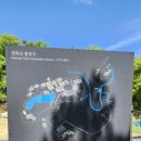 백암느티나무 | 불영사 사찰 여행기: 5월의 천축산 가족 방문기